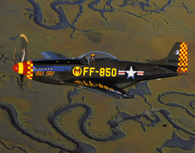 P-51D Mustang (VIII0119)