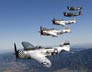 P-47 Thunderbolts (I8Z9072)