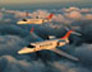 Learjet 40 and Learjet 45 (FECT0319)